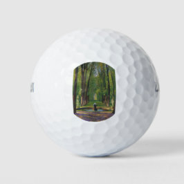 Tuinen bij het Paleis van Versailles (Frankrijk) Golfballen