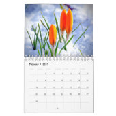 Tuinen en bloemen kalender (Feb 2027)