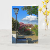 Tuinen in Ronda Kaart (Gele Bloem)