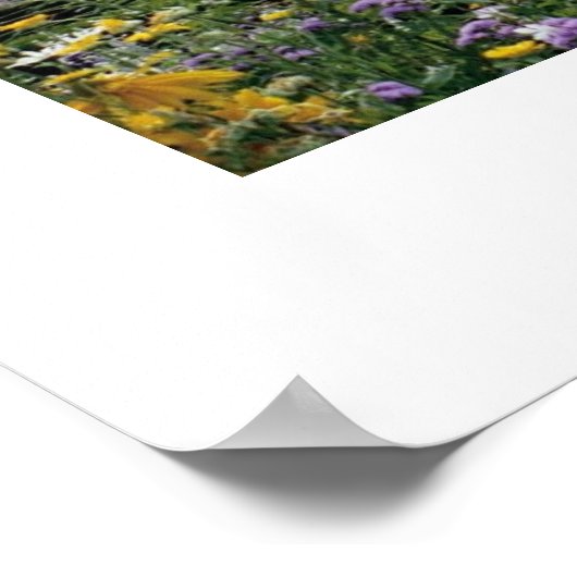 Tuinen in Versailles Poster (Hoek)