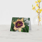 Tuinen Notecard Daylily "Sabine Baur" W de nieuwe Kaart (Gele Bloem)