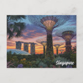 Tuinen van de Bay Singapore Briefkaart (Voorkant)