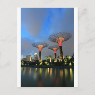 Tuinen van de Bay Singapore Supertree Grove Briefkaart