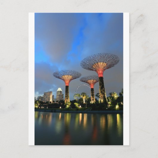 Tuinen van de Bay Singapore Supertree Grove Briefkaart (Voorkant)