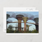 Tuinen van de Bay Singapore Supertree Grove Briefkaart (Voorkant / Achterkant)