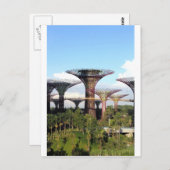 Tuinen van de Bay Singapore Supertree Grove Briefkaart (Voorkant / Achterkant)