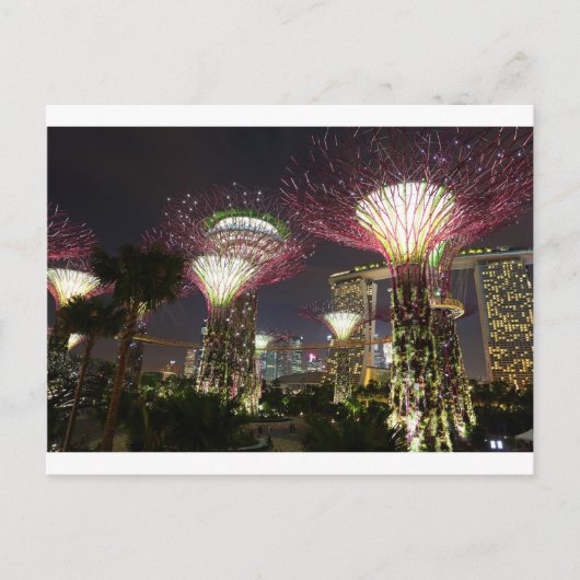 Tuinen van de Bay Singapore Supertree Grove Briefkaart (Voorkant)