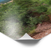 Tuinen van de Gods Mountains en Hills Foto Afdruk (Hoek)