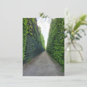 Tuinen van Versailles Foto Groeten Kaart (Staand voorkant)