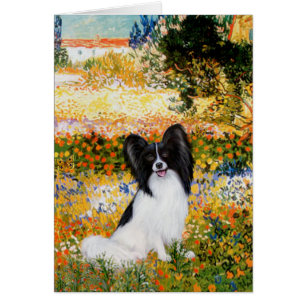 Tuinen (VG) - Papillon 1