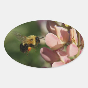 Tuinfoto Ovale Sticker