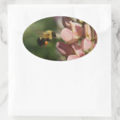 Tuinfoto Ovale Sticker (Tas)