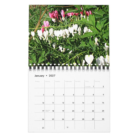 Tuinfoto's 2008 kalender (Jan 2027)