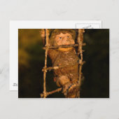 tuingnome briefkaart (Voorkant / Achterkant)