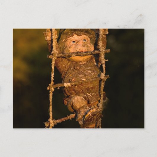 tuingnome briefkaart (Voorkant)