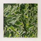 Tuingroene witte hosta-Planten Botanische Prints Legpuzzel (Horizontaal)