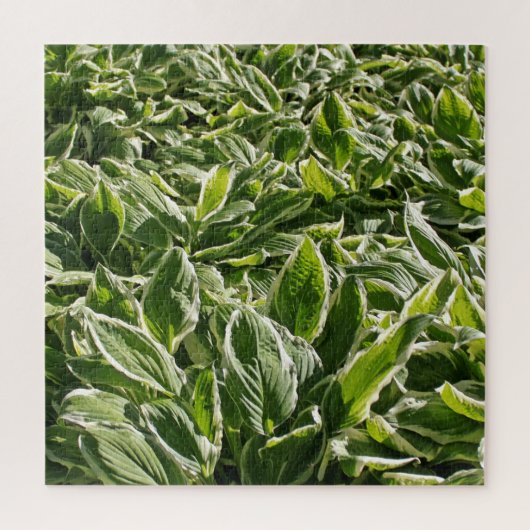 Tuingroene witte hosta-Planten Botanische Prints Legpuzzel (Verticaal)