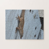 Tuinhagedis Legpuzzel (Horizontaal)