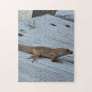 Tuinhagedis Legpuzzel