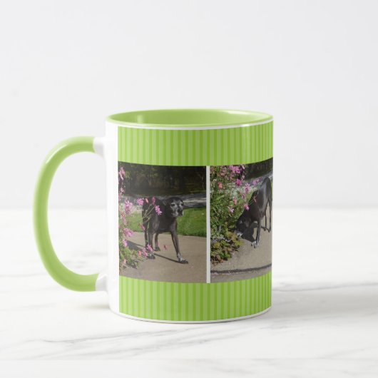 tuinhond mok (Links)