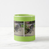 tuinhond mok (Midden)