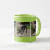 tuinhond mok (Voorkant rechts)