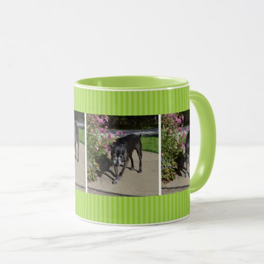 tuinhond mok (Voorkant rechts)