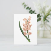 tuinhyacinth (Hyacinthus orientalis) door Redouté Briefkaart (Staand voorkant)