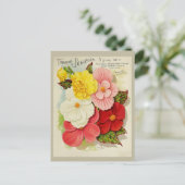  Tuinieren Begonia Bloemzaden Catalogus Briefkaart (Staand voorkant)