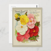  Tuinieren Begonia Bloemzaden Catalogus Briefkaart (Voorkant / Achterkant)
