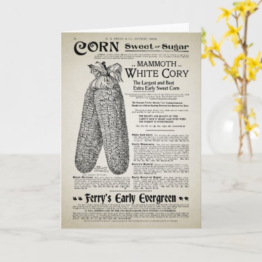  tuinieren cataloguspagina kaart (Gele Bloem)