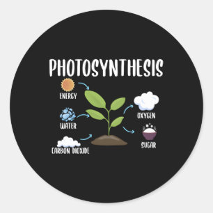 Tuinieren Planten Fotosynthese Houseplant Ronde Sticker