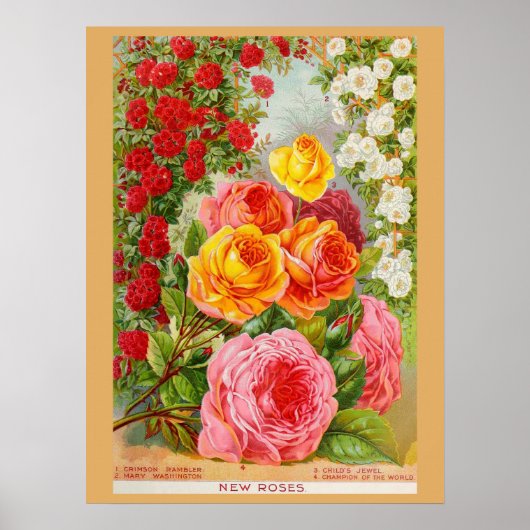  Tuinieren Roos Bloemenzaden Catalogus Poster (Voorkant)