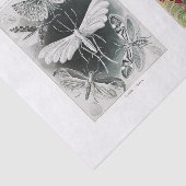 Tuininsecten en bloemenontbinding tissuepapier (Detail)