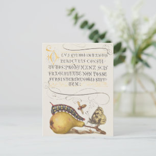 Tuininsecten, Vlieg, Rups, Peer, Duizendpoot Briefkaart