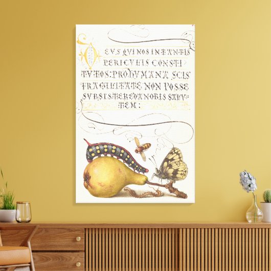 Tuininsecten, Vlieg, Rups, Peer, Duizendpoot Canvas Afdruk (Insitu (Woonkamer))