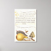 Tuininsecten, Vlieg, Rups, Peer, Duizendpoot Canvas Afdruk (Voorkant)