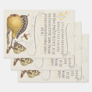 Tuininsecten, Vlieg, Rups, Peer, Duizendpoot Inpakpapier Vel