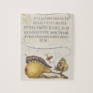 Tuininsecten, Vlieg, Rups, Peer, Duizendpoot Legpuzzel