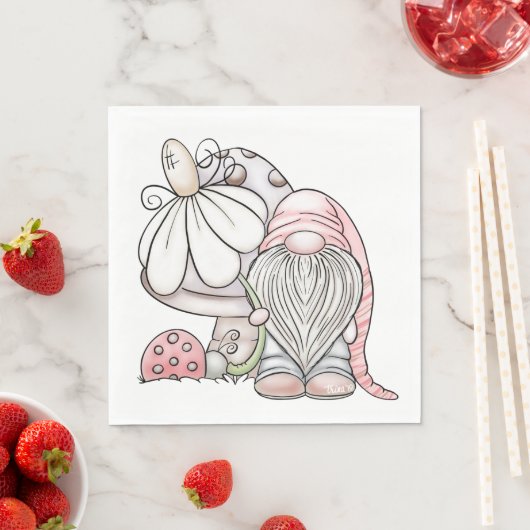 Tuinkabouter Servet (Insitu)