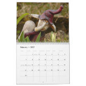 Tuinkabouters 2026 kalender (Feb 2027)