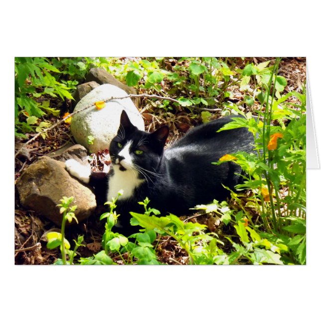 TuinKat (Voorkant Horizontaal)