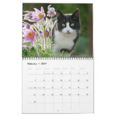 Tuinkatten - groottemedium kalender (Feb 2027)