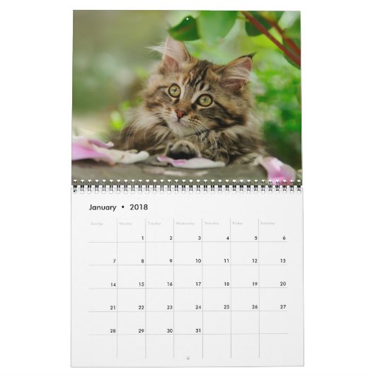 Tuinkatten - groottemedium kalender (Jan 2018)