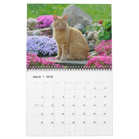 Tuinkatten - groottemedium kalender (Mar 2018)