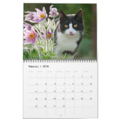 Tuinkatten - groottemedium kalender (Feb 2018)