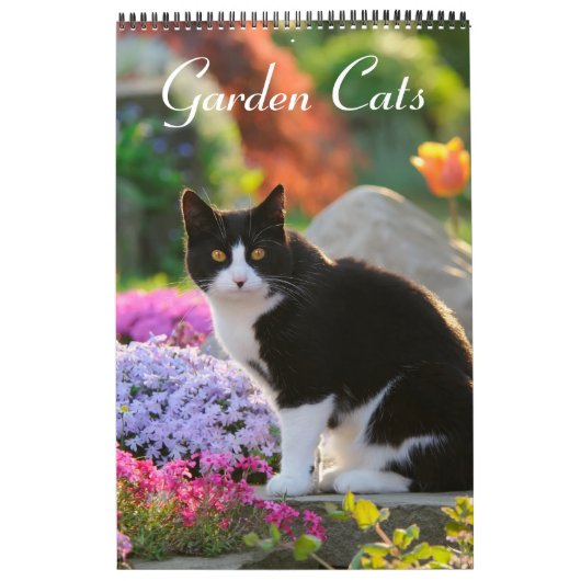 Tuinkatten - groottemedium kalender (Hoes)