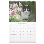Tuinkatten - groottemedium kalender (Feb 2027)