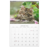 Tuinkatten - groottemedium kalender (Jan 2027)