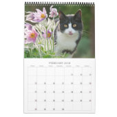 Tuinkatten - groottemedium kalender (Feb 2018)